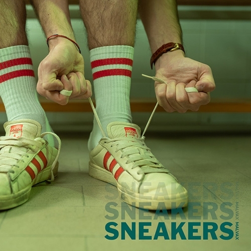 Malvax - Sneakers - 2022 (Assistant Engineer)